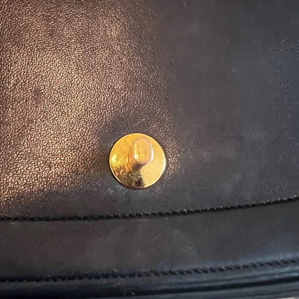 Chanel Timeless Moon Bag - Picture 6 of 11